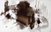 AbstractPainting
